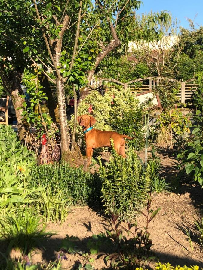 Le Cerisier Saint-Barbant Bed and Breakfast Esterno foto