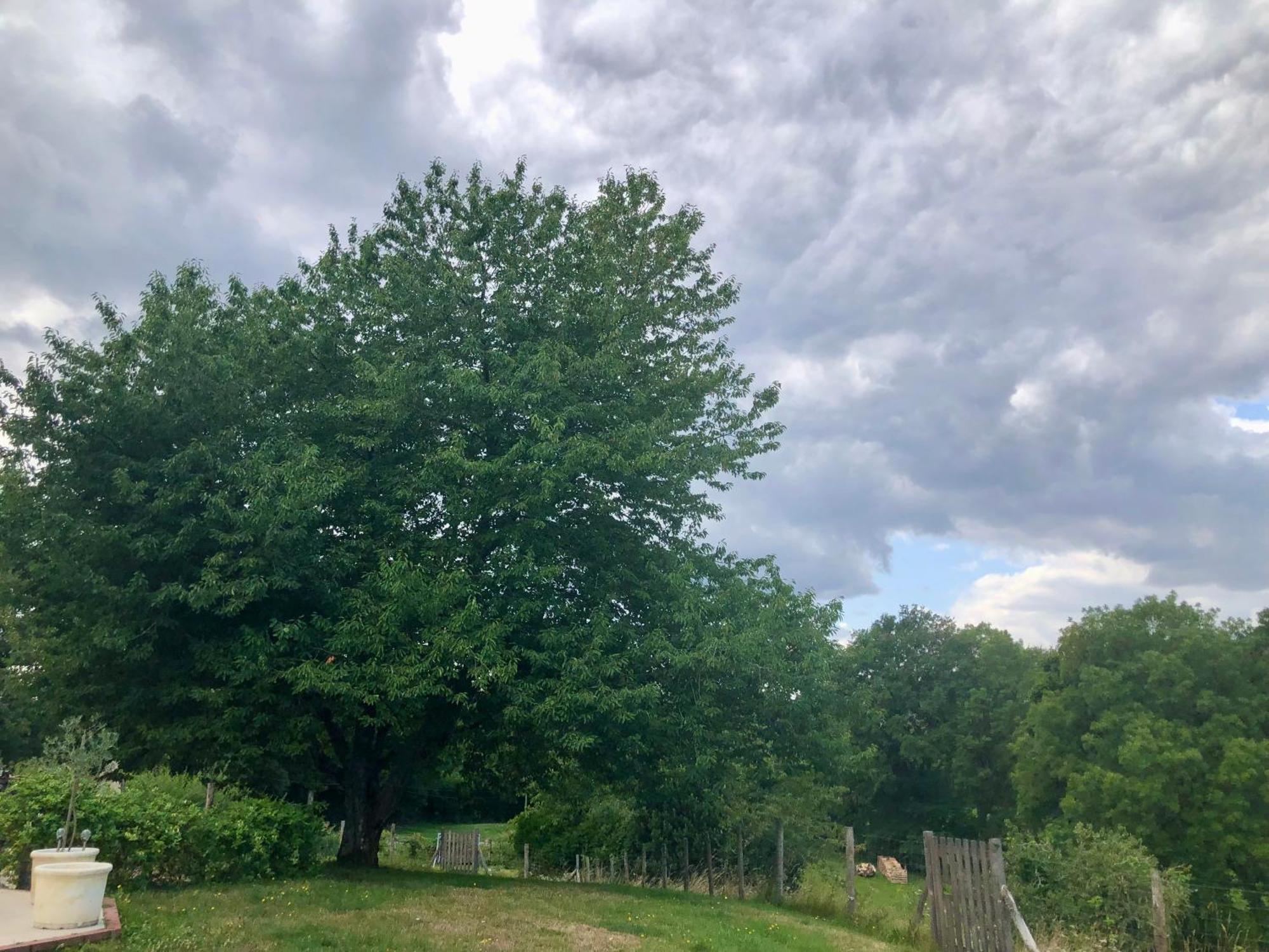 Le Cerisier Saint-Barbant Bed and Breakfast Esterno foto